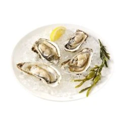 Princess Machine à Glace Pilée 01.282984.01.001 -Smeg Shop 780162 4 2 Machine a glace pilee 01 282984 01 001 Princess