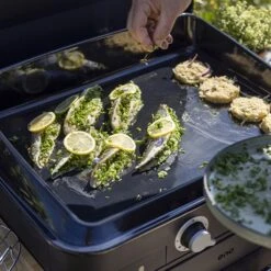 Plancha à Gaz Combo Enosign 65 Bleu Navy 2 Feux -Smeg Shop 781013 3 4 Plancha a gaz Combo enosign 65 bleu navy 2 feux ENO